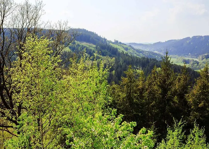 Appartement Ebert Steinwiesen