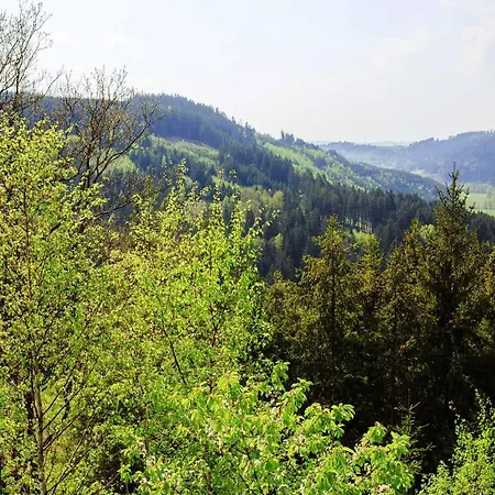 Apartmán Ebert Steinwiesen