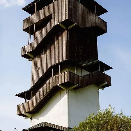 Ebert 施泰因维森