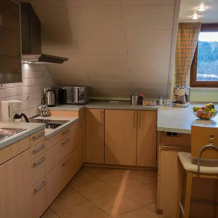 Ebert 施泰因维森