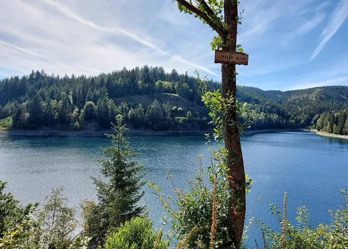 Ebert Daire Steinwiesen